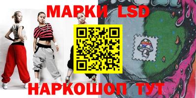 СК Новозыбков