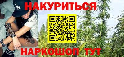 СК Новозыбков