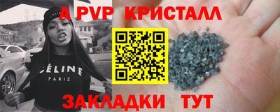 СК Новозыбков