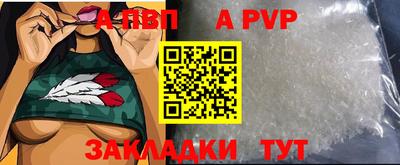 СК Новозыбков