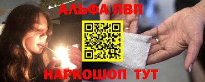 СК Новозыбков