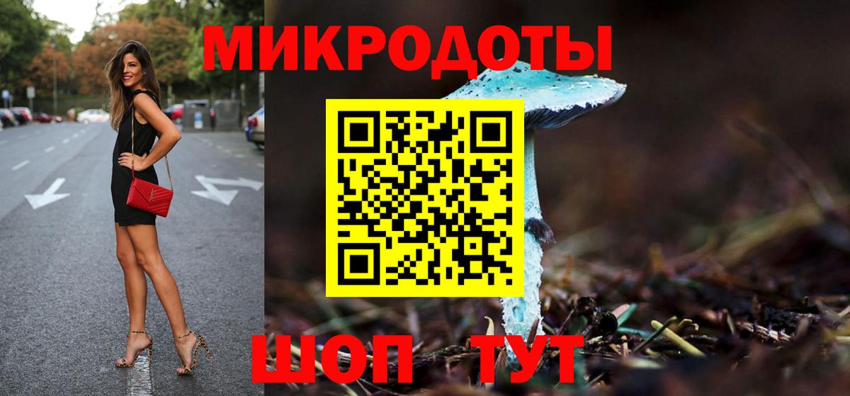 Галлюциногенные грибы мухоморы Сосновый Бор