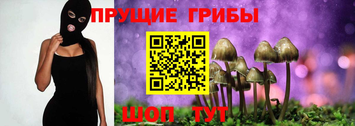 Псилоцибиновые грибы мицелий  Вход с VPN  Галлюциногенные грибы MAGIC MUSHROOMS  Сосновый Бор 